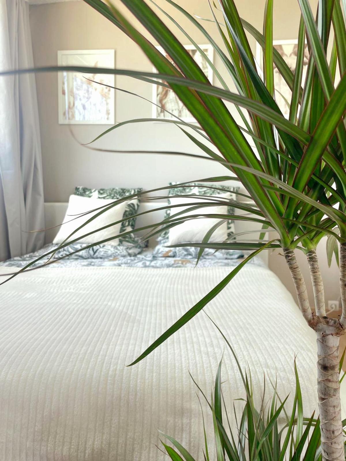 Appartement A La Grande Motte 外观 照片